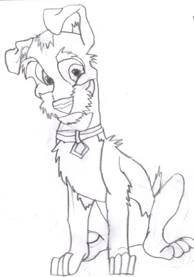 Scamp by BaltoJunior on DeviantArt