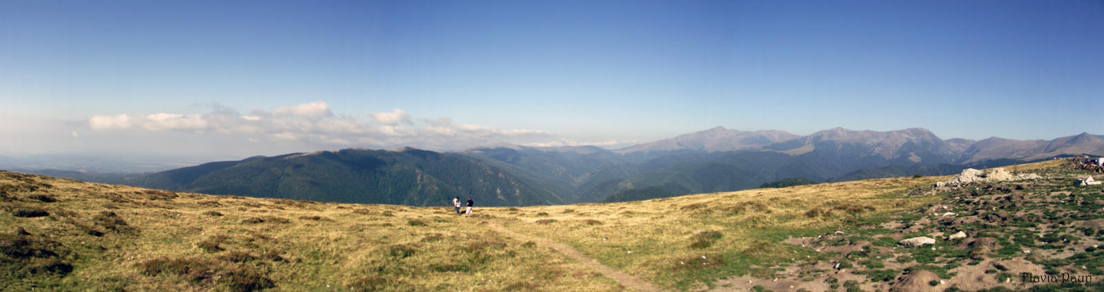 Transalpina