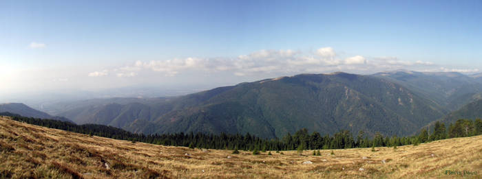 Transalpina II