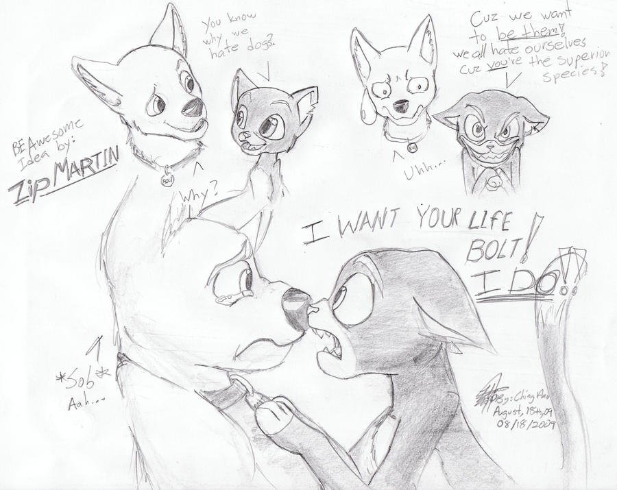 Why Do Cats Hate Dogs By Chingilin On DeviantArt Why do cats hate dogs by chingilin on deviantart