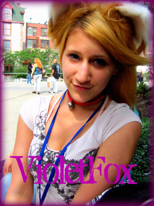 Violetfox By Violetfoxy On Deviantart