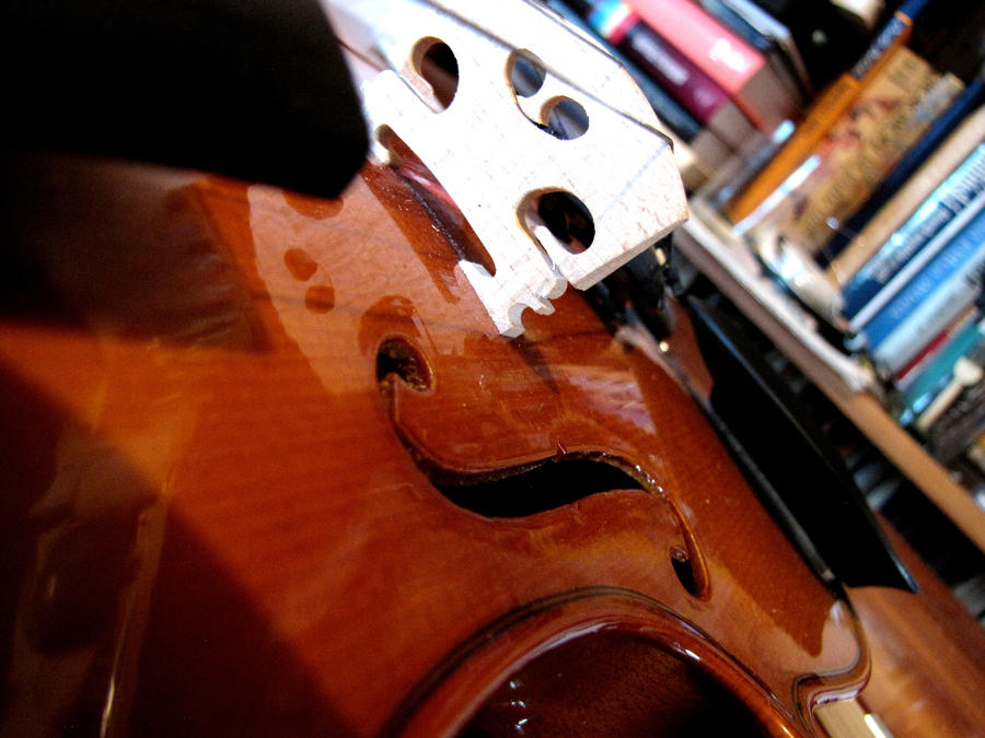 fiddler 3 by Jerzynka on DeviantArt