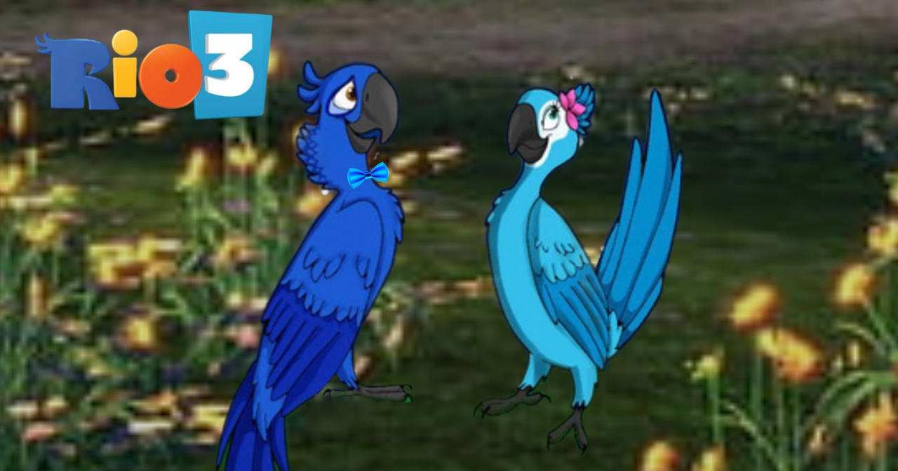 Blu Rio Render Deviantart Rio 3 Blu Placed A Pink Flower On Jewel Head by SophiaMarieB on DeviantArt