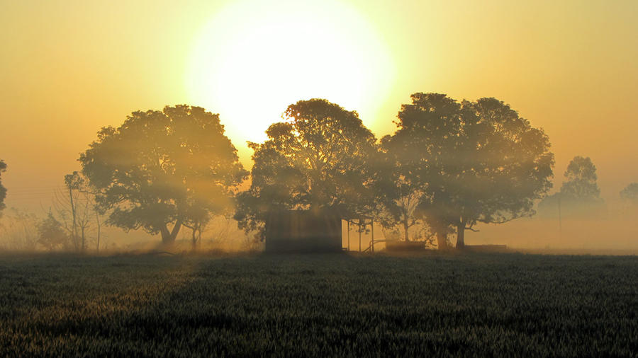 Punjab Village Morning Sun by psc2012 on DeviantArt