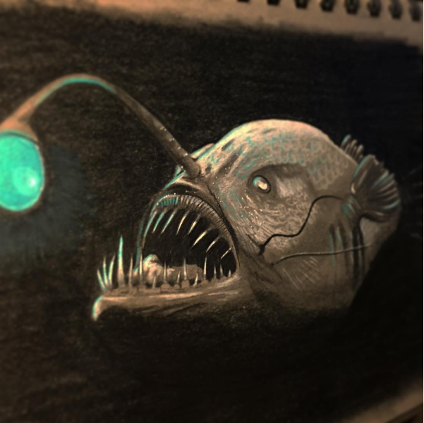 Angargly Fish Angry Fish by mstephens04 on DeviantArt