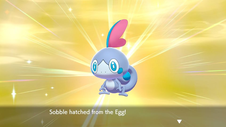 Shiny Sobble By Amesrose257 On DeviantArt shiny-sobble-by-amesrose257-on-deviantart