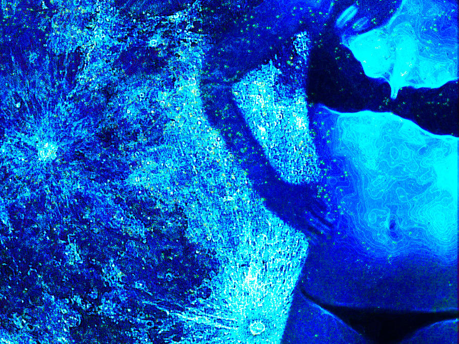 Seriously by Hayami05 on DeviantArt