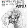 Sabretooth in Wolverine Weapon X blankcover