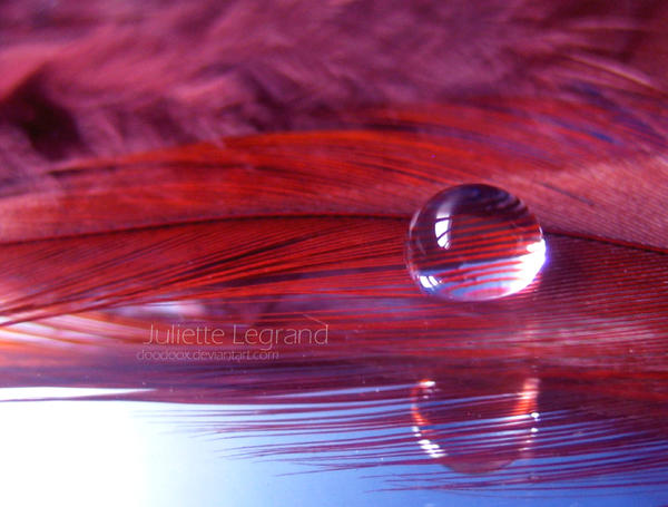 .Reflection. by Doodoox