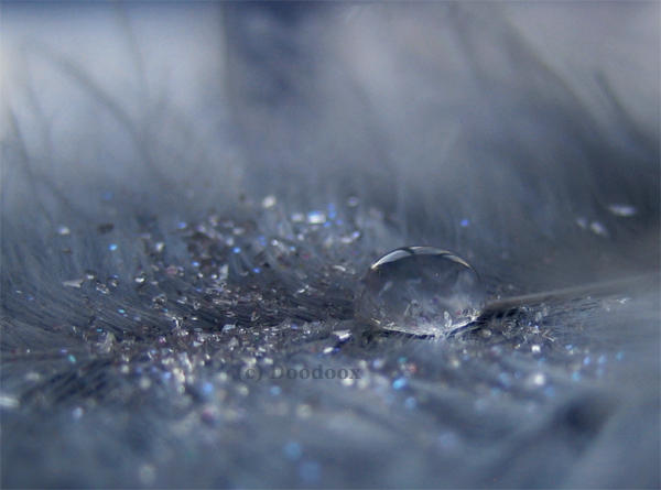 .Frozen Tear. by Doodoox on DeviantArt