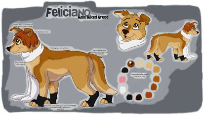 Feliciano Reference