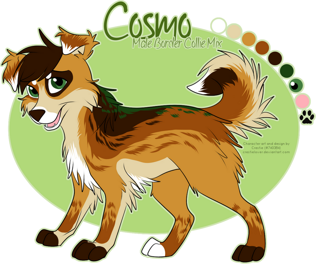 Cosmo Reference Reference: Cosmo by Star--Tracer on DeviantArt