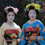 Maiko