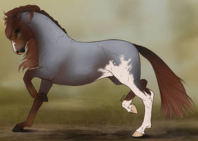 Horse Design