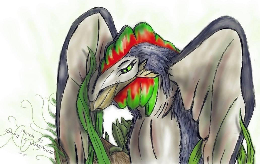 Bird Evolution Deviantart A bird of past by Simoneilguardiano on DeviantArt