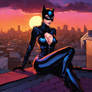 Catwoman (2)