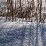 Snow Light II