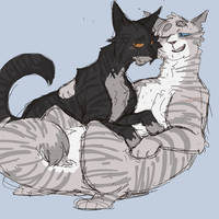 the gay cat otp