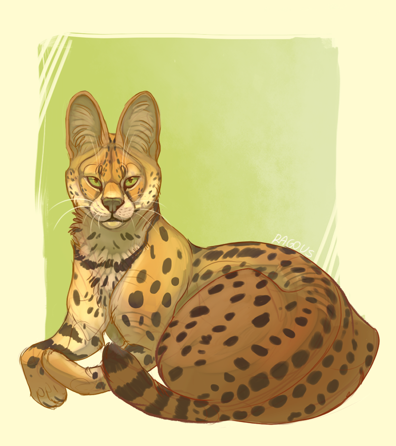 Samiya by Ragous