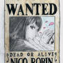 one piece wanted, nico