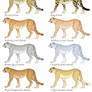Cheetah Color Mutation Guide