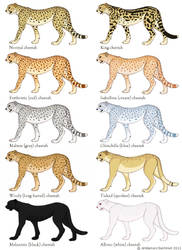 Cheetah Color Mutation Guide