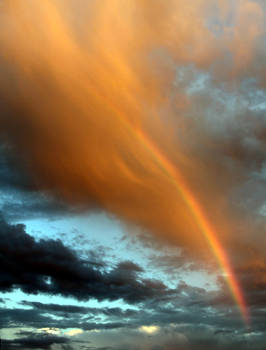 RAINBOW IN RESEDA