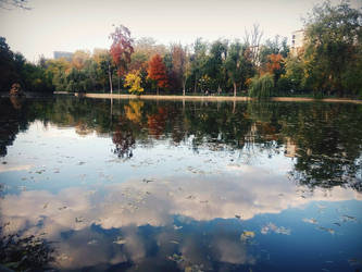 Autumn in the mirror