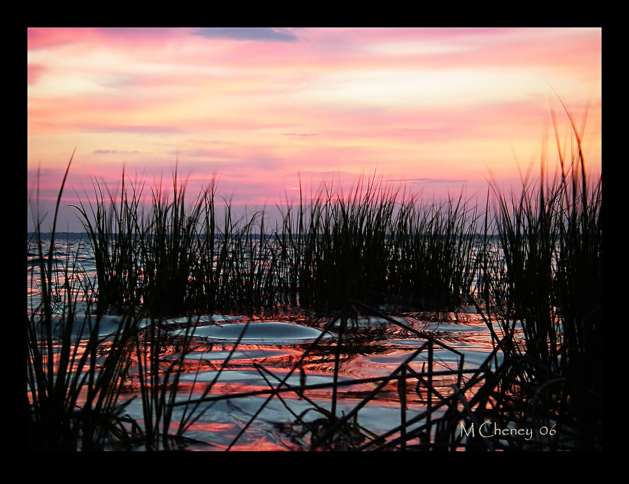 Before the Dawn Grass