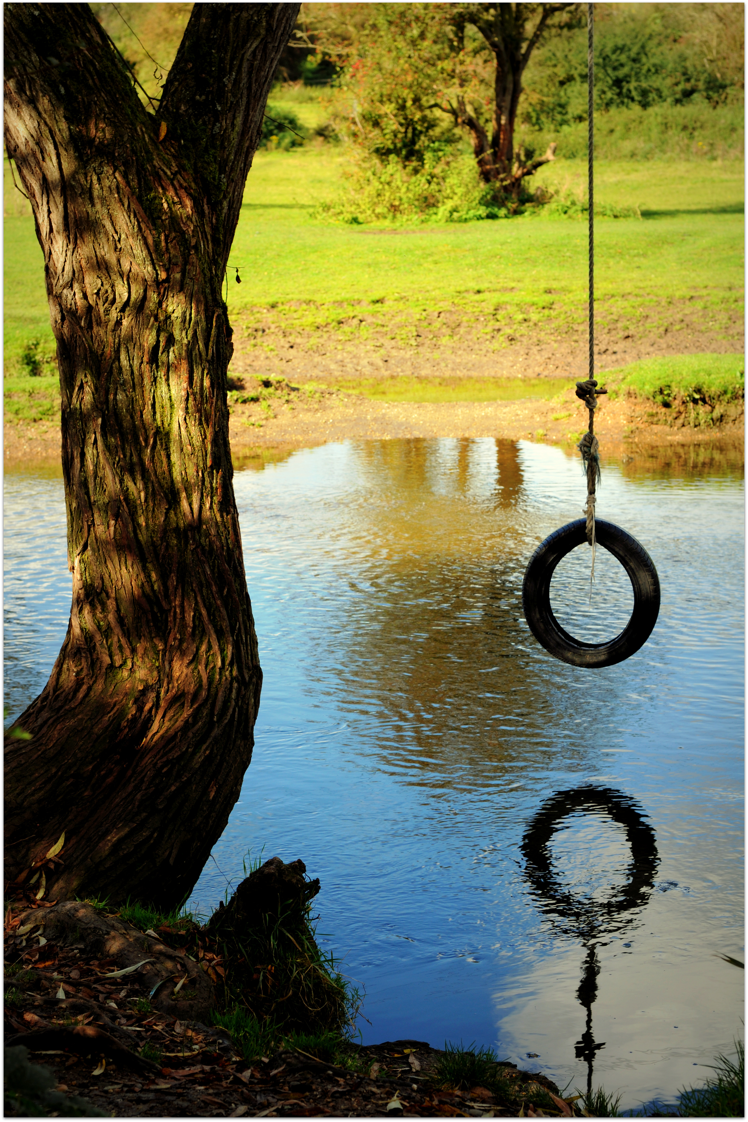 Rope Swing Over The River Soar. by Chrobal on DeviantArt