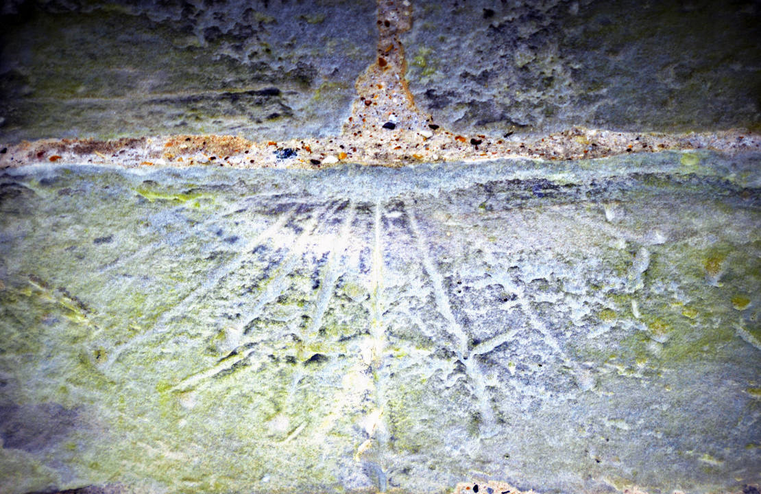 tempus edax rerum by Chrobal on DeviantArt