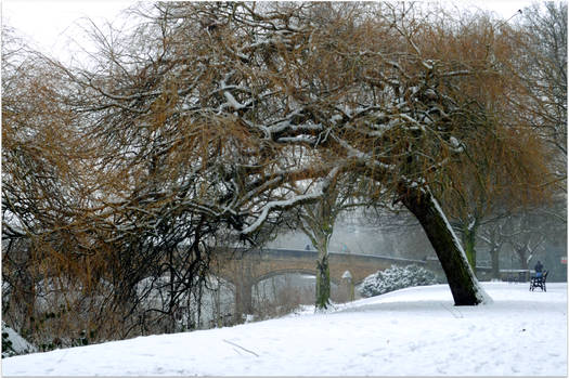 abbey park in snowy scenery