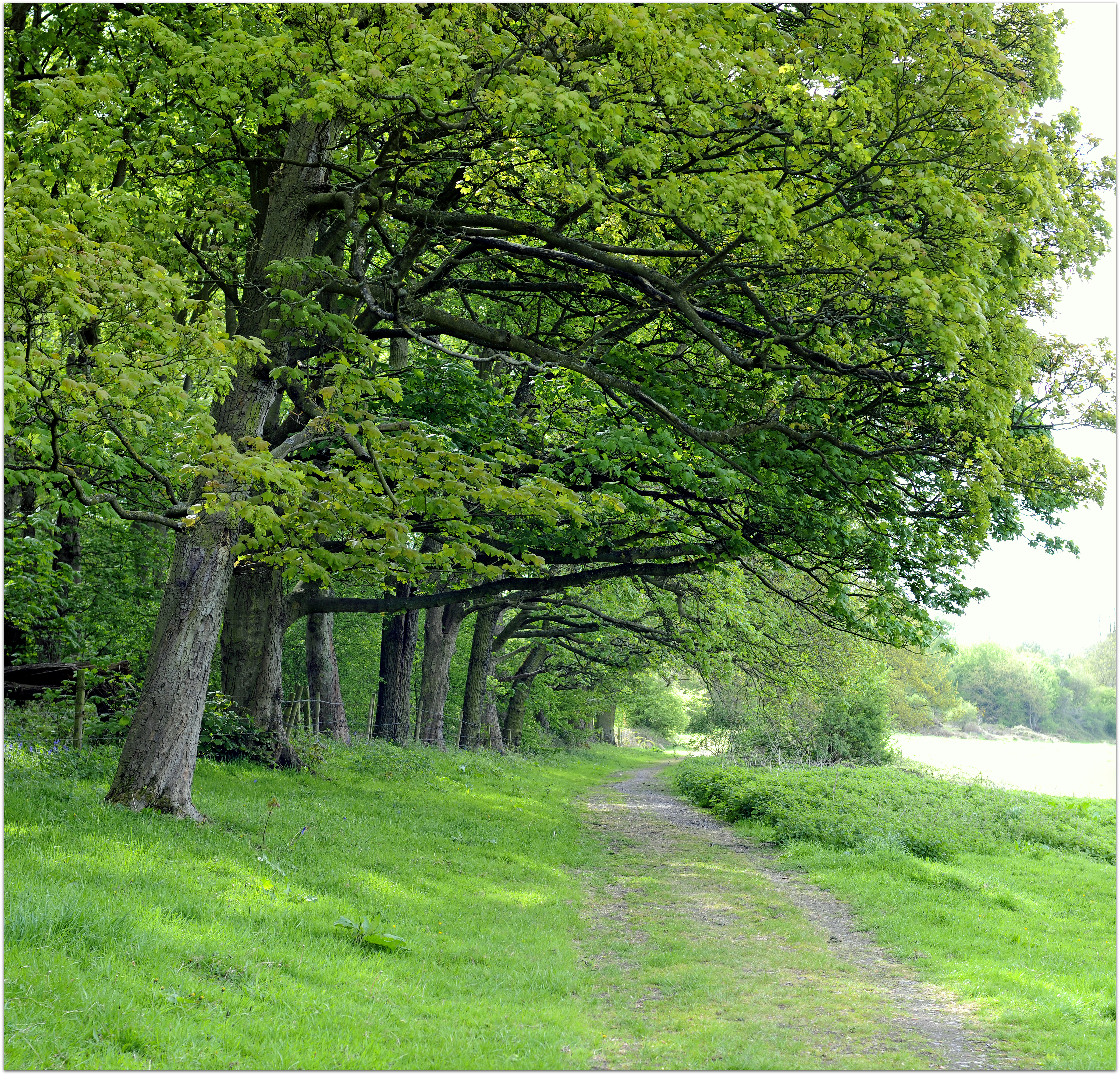 Leicestershire countryside