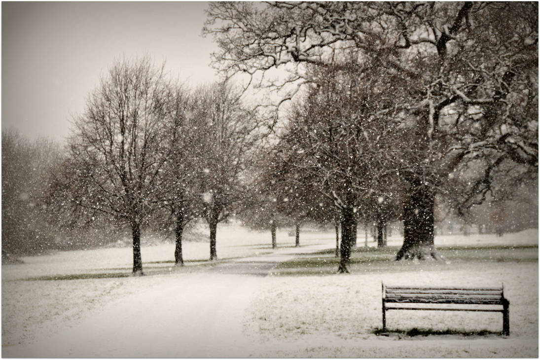 Braunstone Park by Chrobal