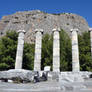 The Temple of Athena at Prienne