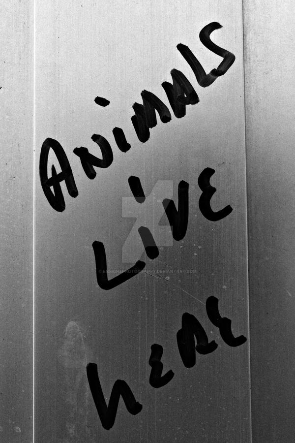 Animals Live Here by EnsignePhotography on DeviantArt