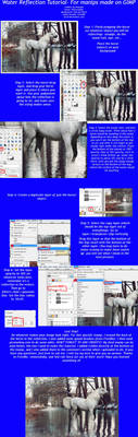 GIMP Water Reflection Tutorial
