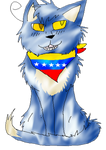 Venezuela Cat
