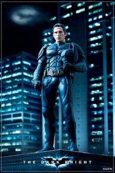 Bruce Wayne Dark Knight