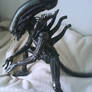 Xenomorph