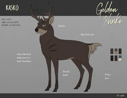 GS ref - KASKO