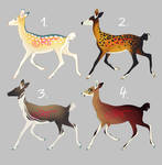 Doe adoptables - AUCTION by doeprince