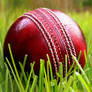 Cricket ball