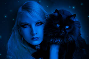 .:Black Cat:.