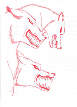 Wolf Sketch - Red Pen, 1