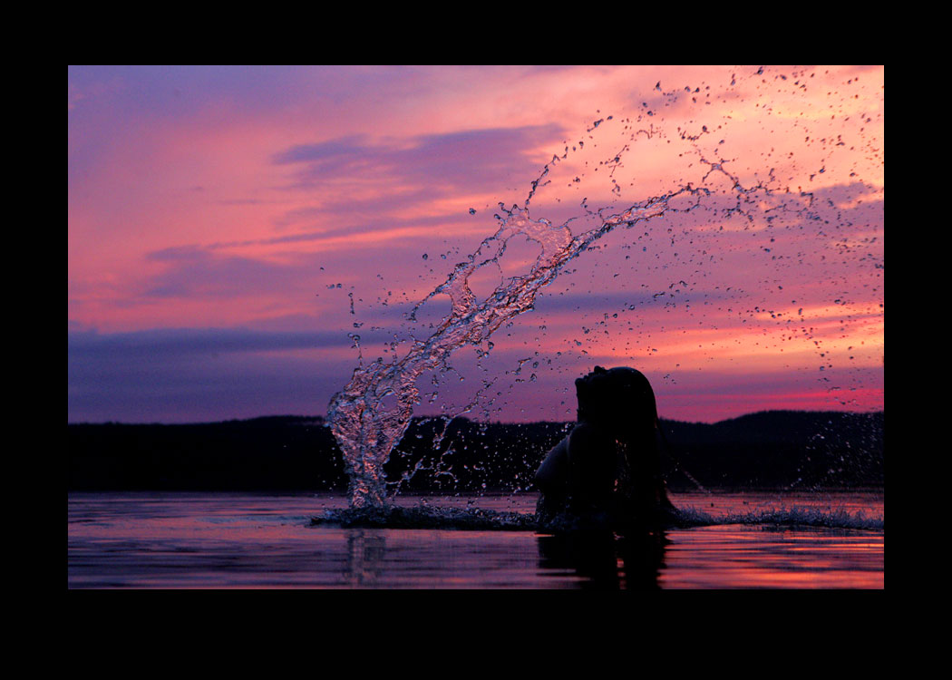 the evening of lady summer