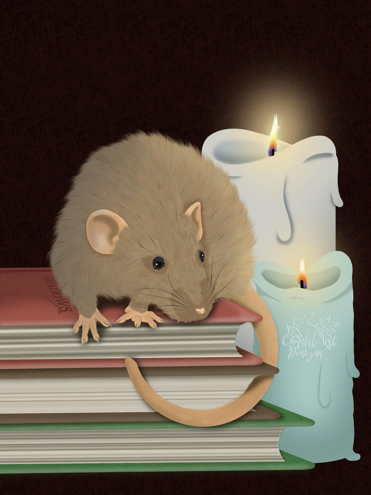 Book Rat by MBerryArt on DeviantArt