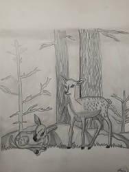 Baby Deer Drawing by LonelyArtistStudios