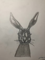 Rabbit Drawing by LonelyArtistStudios