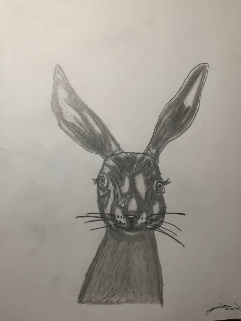 Rabbit Drawing By Lonelyartiststudios On Deviantart Rabbit Drawing By Lonelyartiststudios On Deviantart